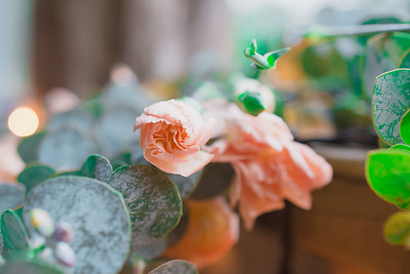Brito Wedding | May 2017