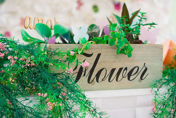 Brito Wedding | May 2017