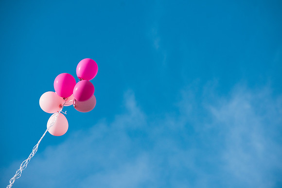Bailey | Gender Reveal !