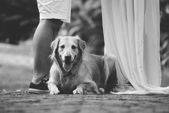 Sade | Maternity | Maclay Gardens !