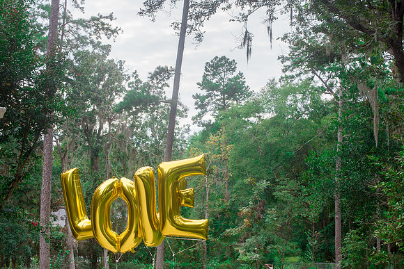 Krystine + Mason | Engagement Party | Tallahassee, FL | 2017