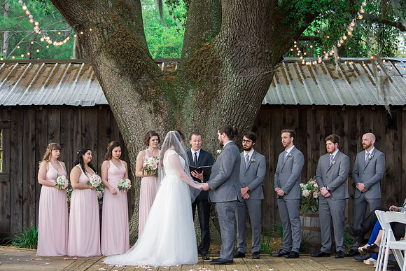 the SYKES' | Wedding | Gin Creek Vineyard | April 6th, 2018