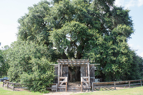 the WEATHERS’ | Wedding | Gin Creek | July 2018