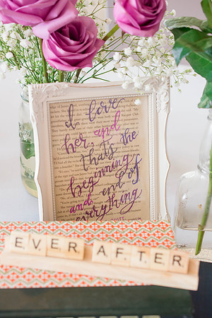 the AUVIL's | Wedding | Monticello Opera House | August 2018
