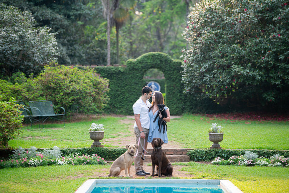 Trickey Photography - Couples Photographer