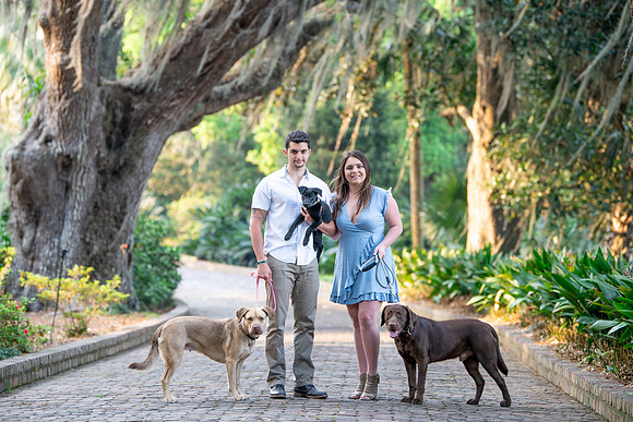 Trickey Photography - Couples Photographer