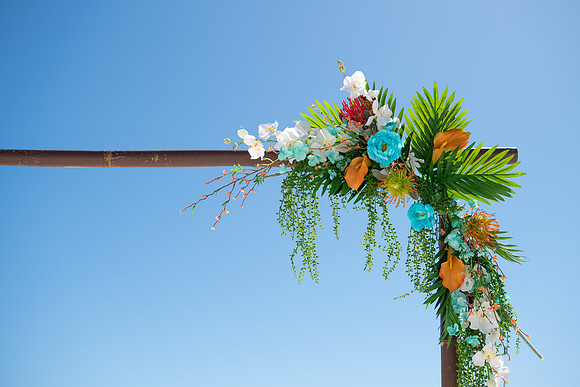 Womble Wedding - Trickey Photography