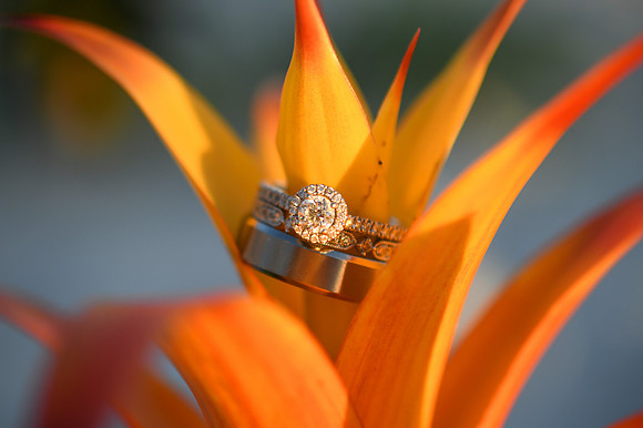 Womble Wedding - Trickey Photography