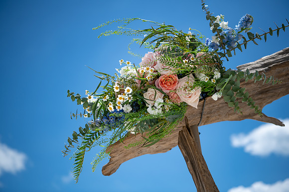 Lardinois Wedding - Trickey Photography
